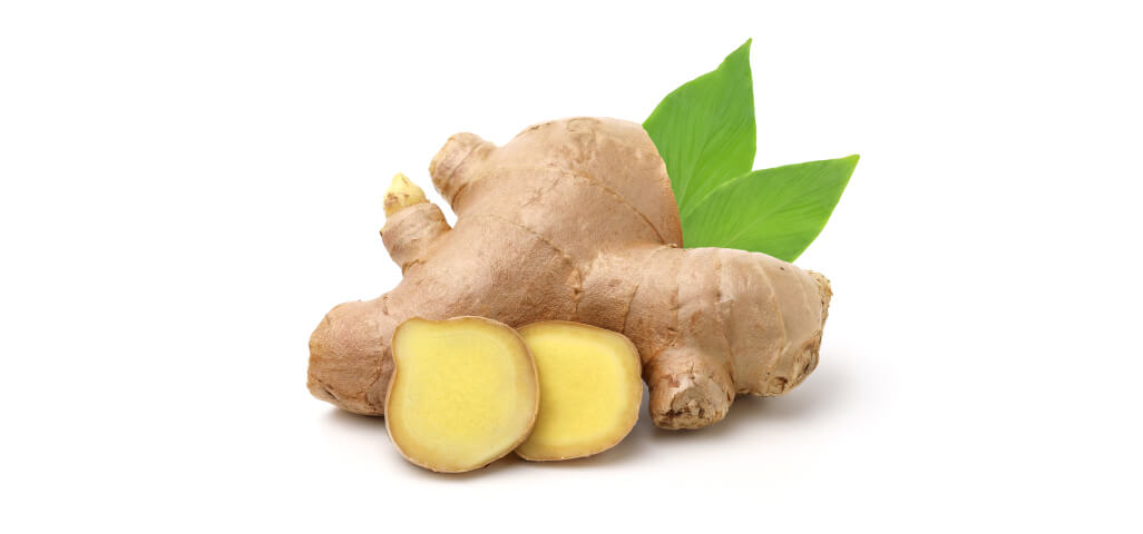 GINGER