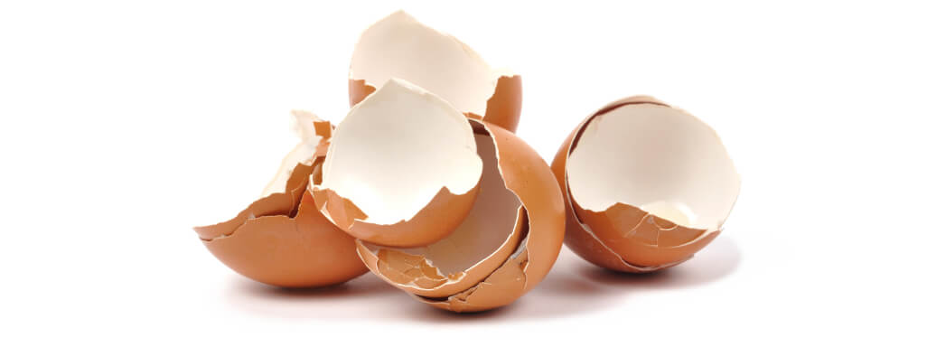 NEM<sup>®</sup> (NATURAL EGGSHELL MEMBRANE)