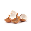 ingredient icon